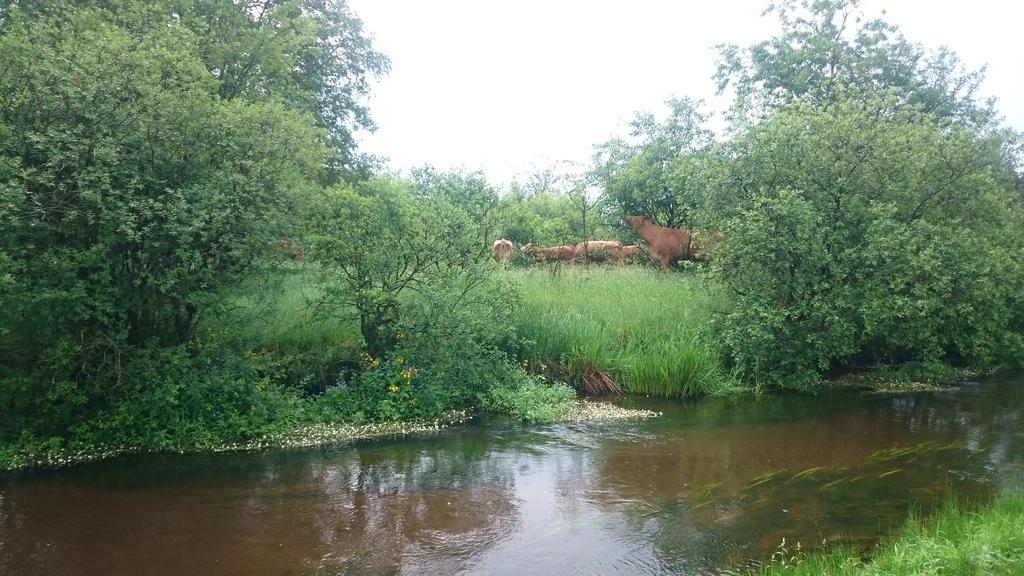 דירות בילונד Aagaarden מראה חיצוני תמונה